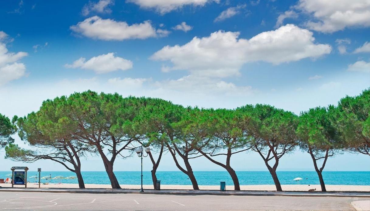 Bed and Breakfast Il Giardino Di Chiara Oristano Exterior foto